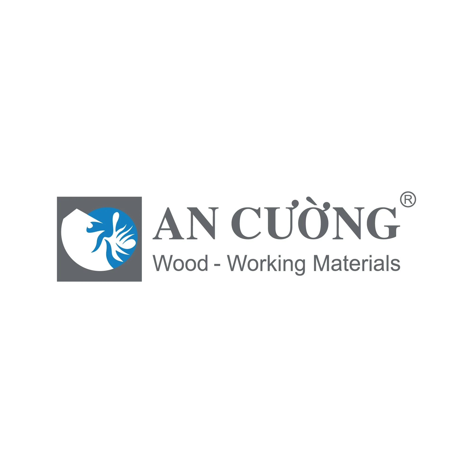 Trang chủ 20 logo An cuong